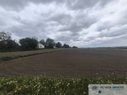 Kantorowice - cicha i spokojna okolica - 95 arów