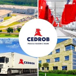 Młodszy Specjalista ds. Technologii w Dziale Technologii i Wdrożeń