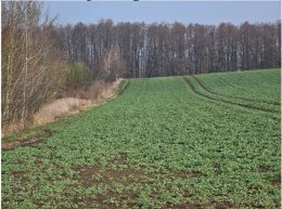Nieruchomość niezabudowana - Krzanowice