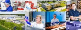 Pracownik Produkcji - Dział Przyjęcia Żywca Drobiowego