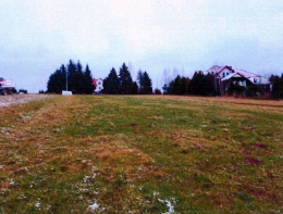 Nieruchomość niezabudowana - Leńcze