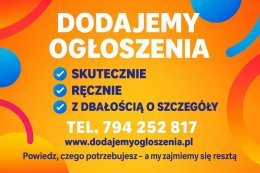 Reklama w internecie - lokalna lub ogólnopolska, nawet na 800 portalach