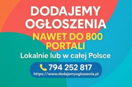 Reklama w internecie - lokalna lub ogólnopolska, nawet na 800 portalach