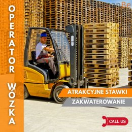 OPERATORZY WÓZKÓW WIDŁOWYCH - WYSOKIE STAWKI - HOLANDIA