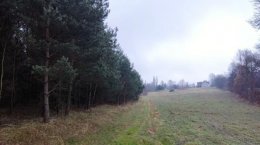 Nieruchomość - Niegowonice