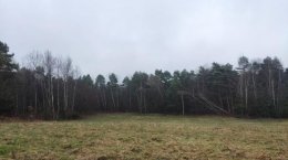 Nieruchomość - Niegowonice