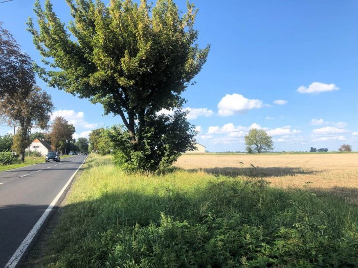 Nieruchomość położona w Sędzinku