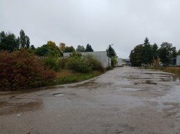 Nieruchomość - Trzcianka