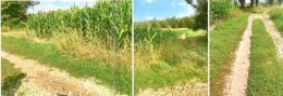 Nieruchomość niezabudowana - Marcinkowice