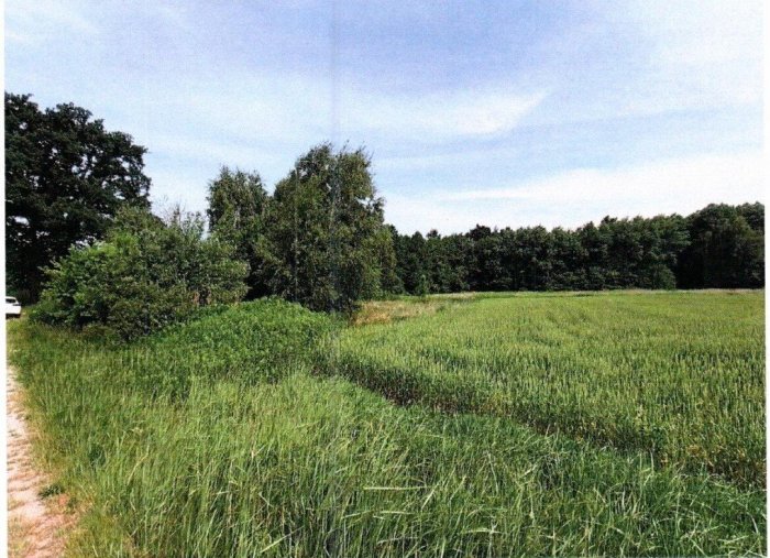 Nieruchomość niezabudowana - Granowiec