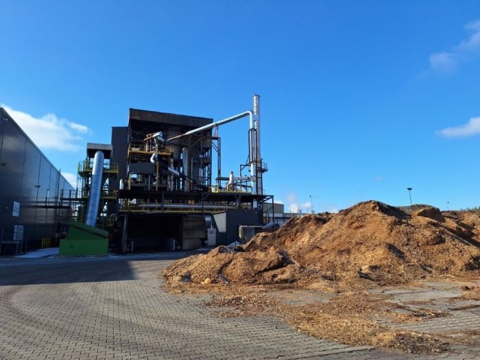 Nieruchomość - Łozienica