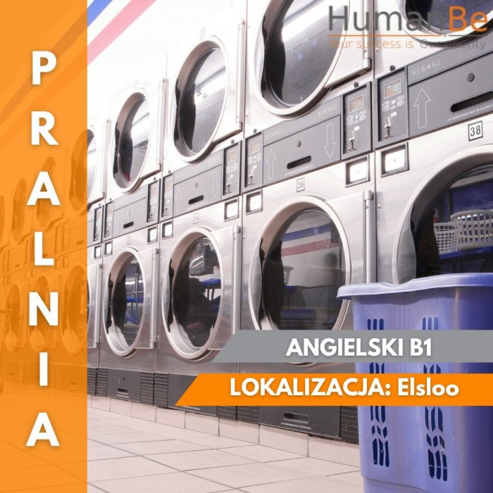 PRACA NA PRALNI - 2 ZMIANY - HOLANDIA