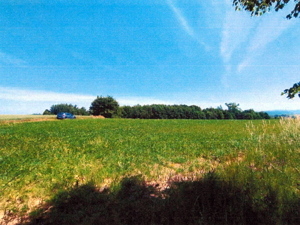 Działka, 5 700 m², Jurków