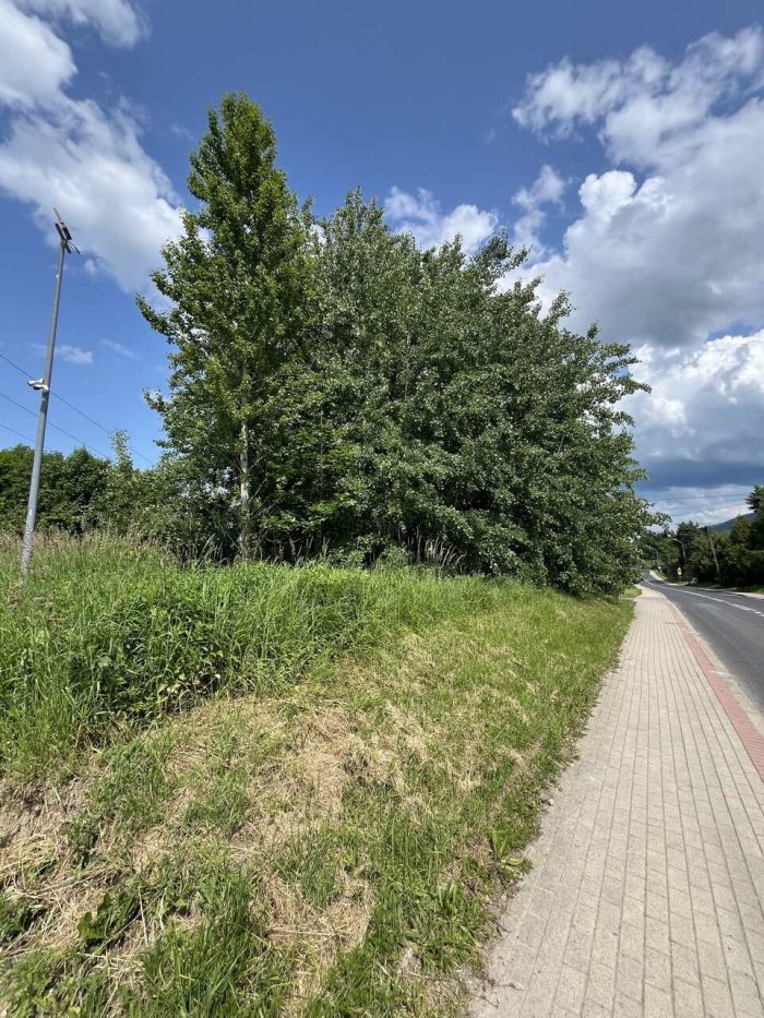 Działka, 9793 m², Bielsko-Biała