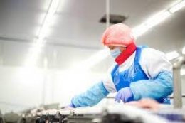 Pracownik produkcji w Zakładzie Mięsa Drobiowego