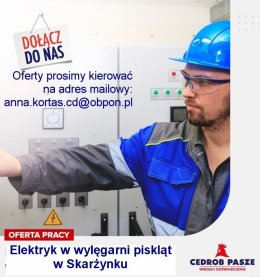 Elektryk w Wylęgarni Piskląt w Skarżynku