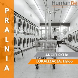 PRACA NA PRALNI - 2 ZMIANY - HOLANDIA