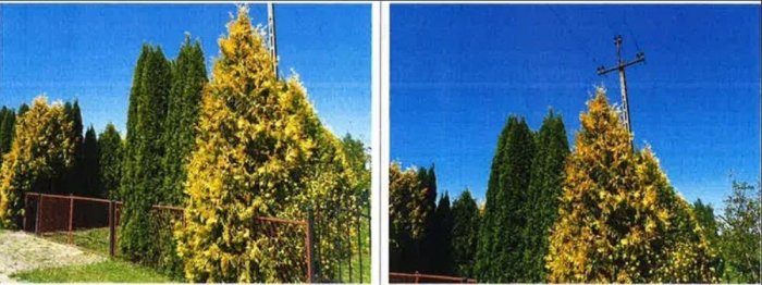 Nieruchomość niezabudowana - Horodło