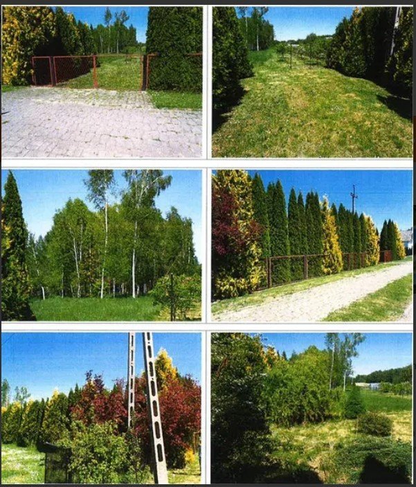 Nieruchomość niezabudowana - Horodło