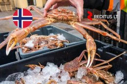 Pracownicy produkcyjni (fabryka krabów śnieżnych) - praca w Norwegia (2013)