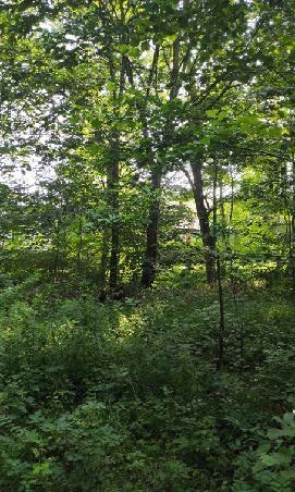 Nieruchomość niezabudowana - Bielsko-Biała