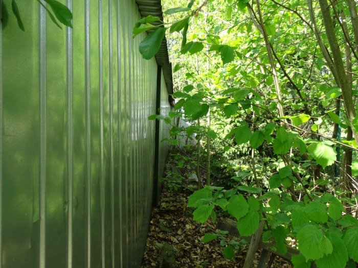 Udział 1/2 nieruchomości z garażem w Smogórach