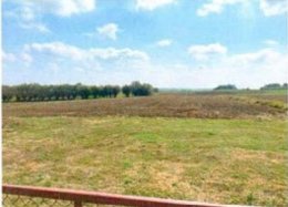 Działka, 7 100 m², Marcinkowice