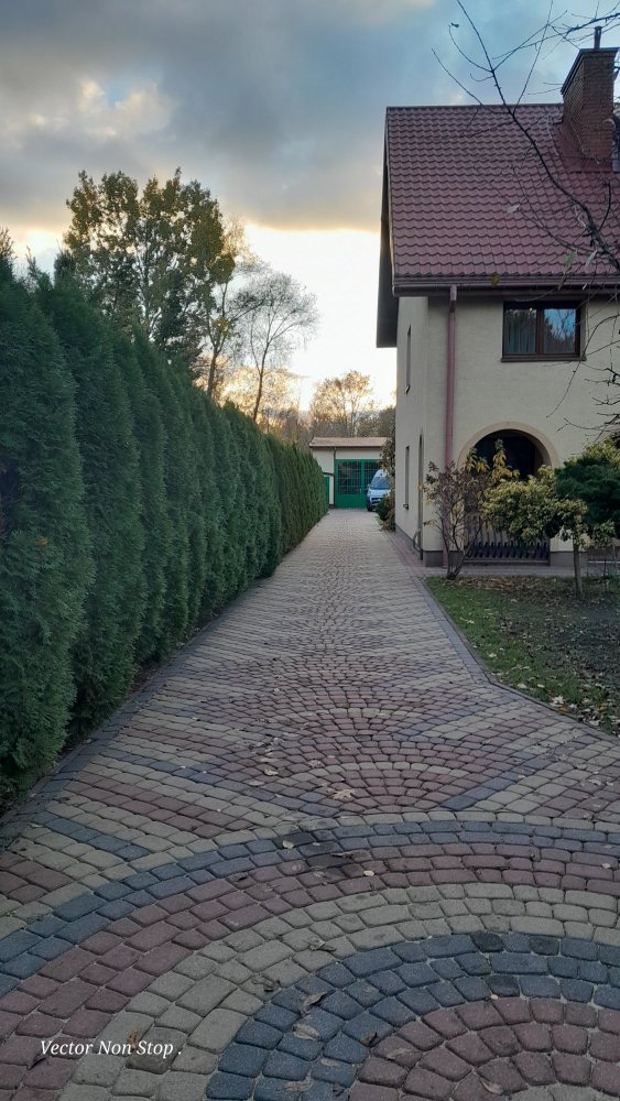 Wynajmę dom 3-piętrowy z opcją hali i biura