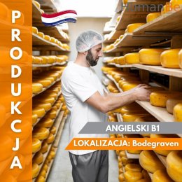 PRODUKCJA SERA - ANGIELSKI B1 - PRACA OD ZARAZ