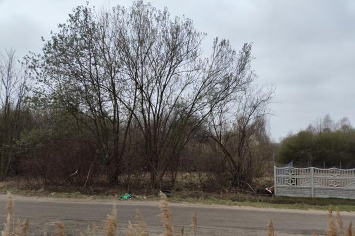 1/3 udziału w prawie własności działek