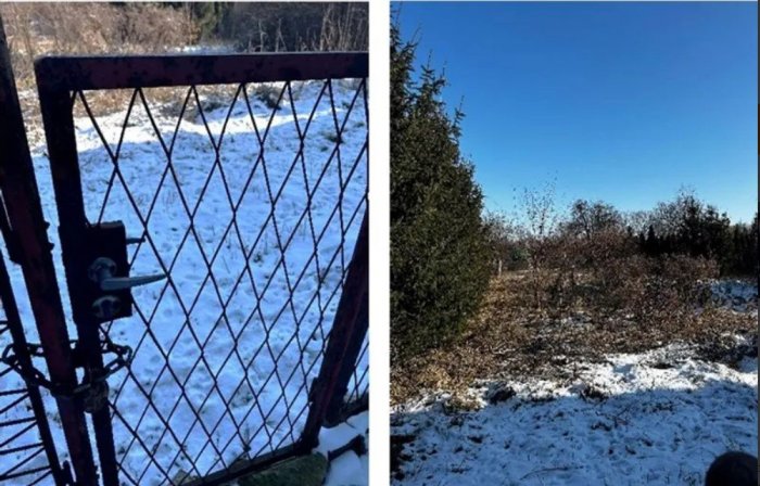 Nieruchomość niezabudowana - Ruja