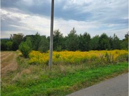 Nieruchomość niezabudowana - Kończyce Małe