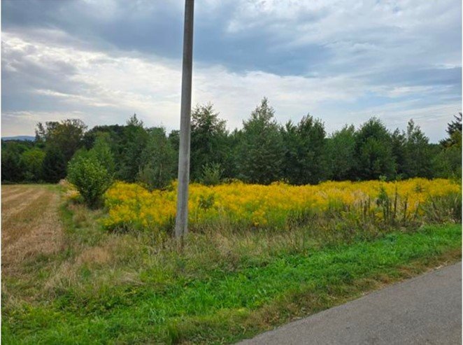 Nieruchomość niezabudowana - Kończyce Małe