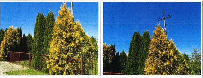 Nieruchomość niezabudowana - Horodło