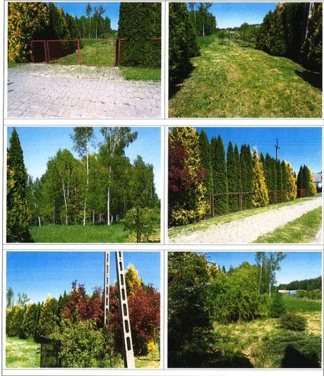 Nieruchomość niezabudowana - Horodło