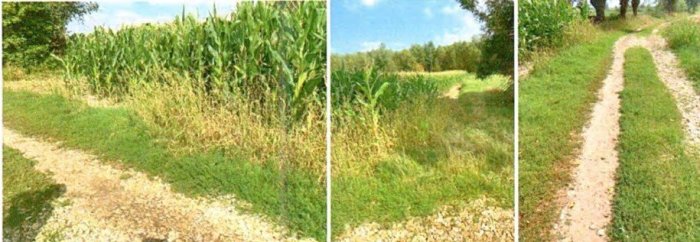 Działka, 7 100 m&sup2;, Marcinkowice