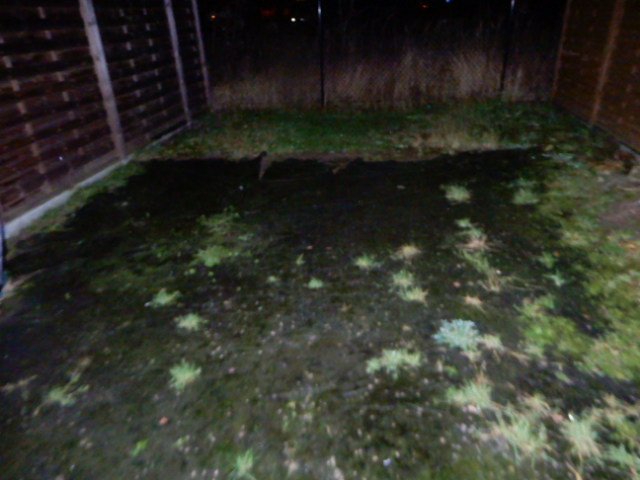 Lokal mieszkalny - Szczecin