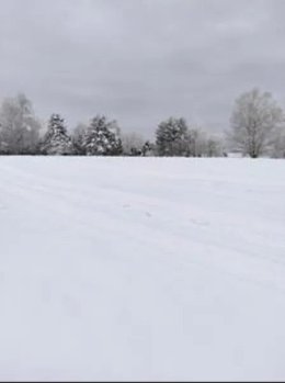 Nieruchomość niezabudowana - Jaworzynka