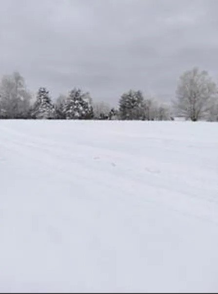 Nieruchomość niezabudowana - Jaworzynka