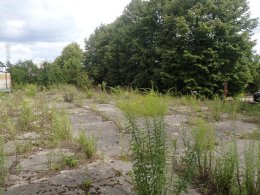 Syndyk ogłasza konkurs: sprzedaż 1/2 nieruchomości w Libiążu