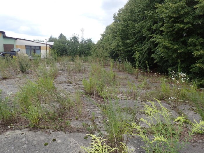 Syndyk ogłasza konkurs: sprzedaż 1/2 nieruchomości w Libiążu