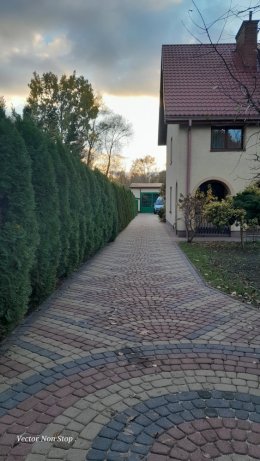 Wynajem pokoju - Złotokłos