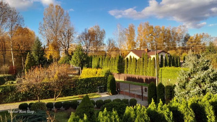 Wynajem pokoju - Złotokłos