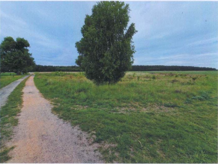 Nieruchomość niezabudowana - Błądzim