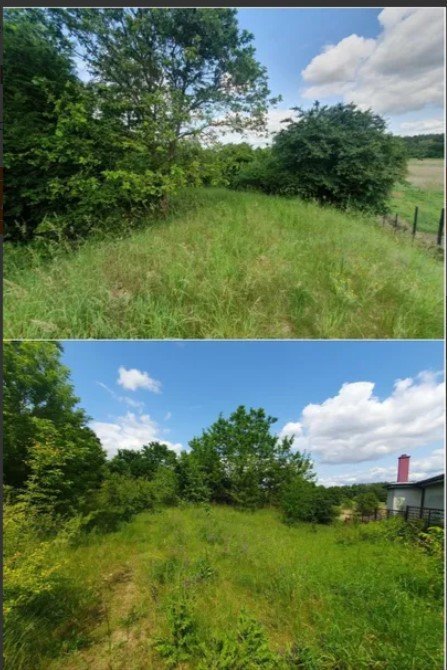 Nieruchomość - Lipno