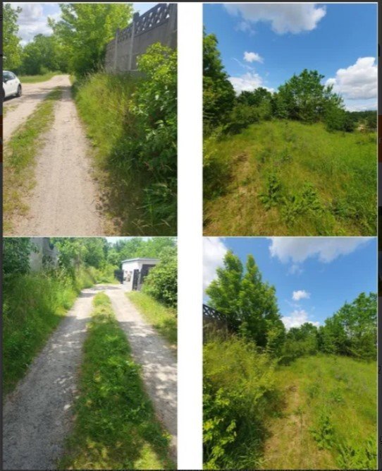 Nieruchomość - Lipno