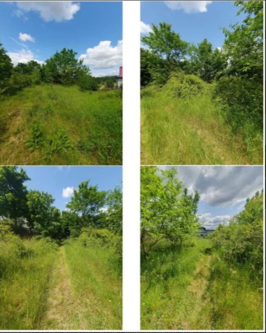 Nieruchomość - Lipno