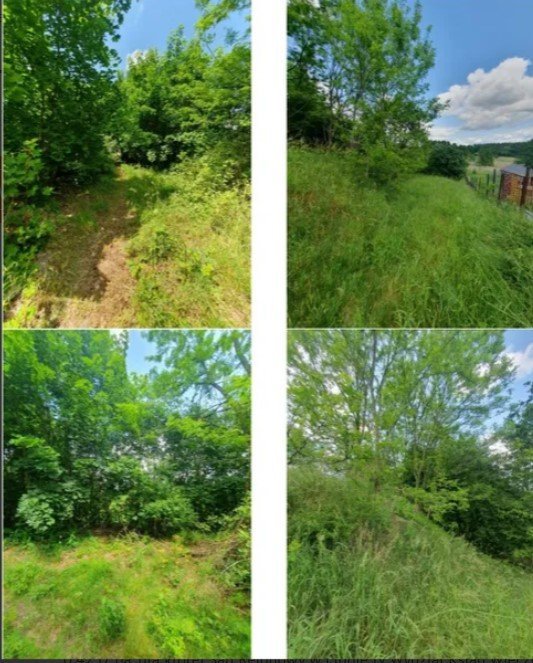 Nieruchomość - Lipno