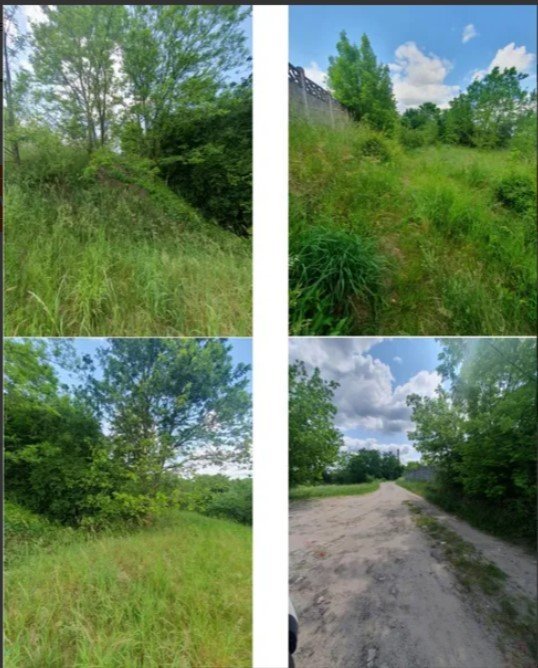 Nieruchomość - Lipno