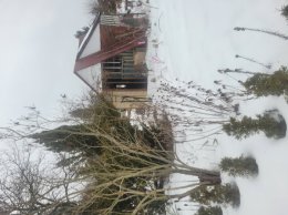 Nieruchomość - Ostrowiec Świętokrzyski